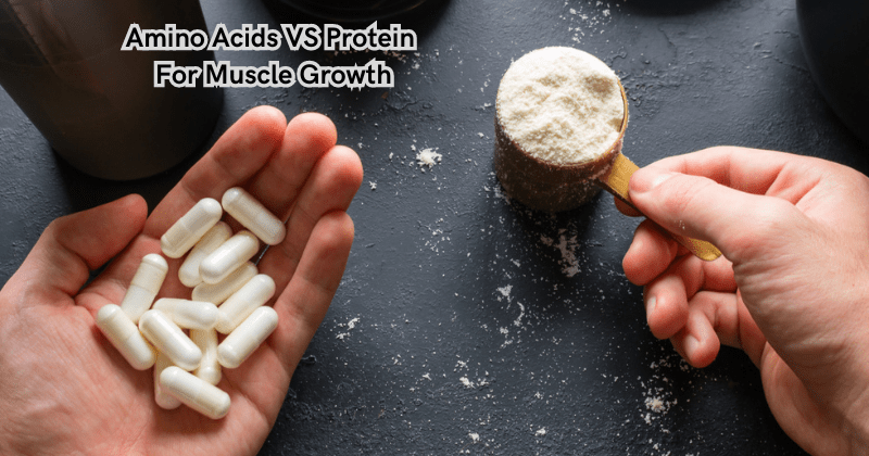 Amino Acids VS Protein For Muscle Growth - Rip Toned