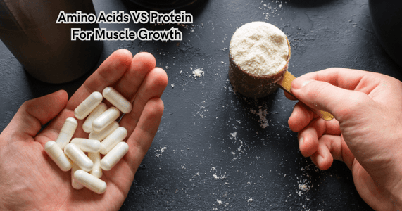 Amino Acids VS Protein For Muscle Growth