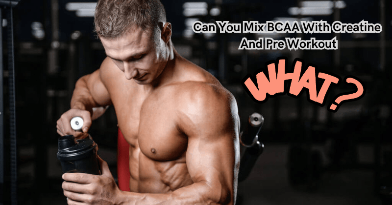 Can You Mix BCAA With Creatine And Pre Workout - Rip Toned