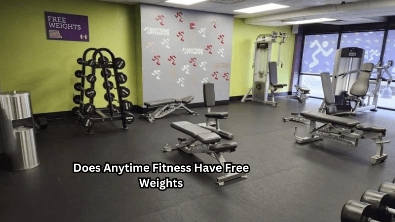 Does Anytime Fitness Have A Free Trial Does Anytime Fitness Have Free Weights – Rip Toned