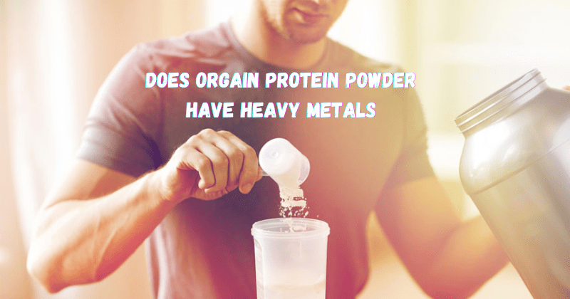 Are There Heavy Metals in Orgain Protein Powder? Shocking Truth Revealed!