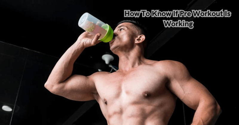 How To Know If Pre Workout Is Working - Rip Toned