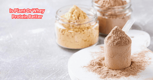 Is Plant Or Whey Protein Better - Rip Toned
