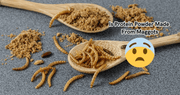 Is Protein Powder Made From Maggots - Rip Toned