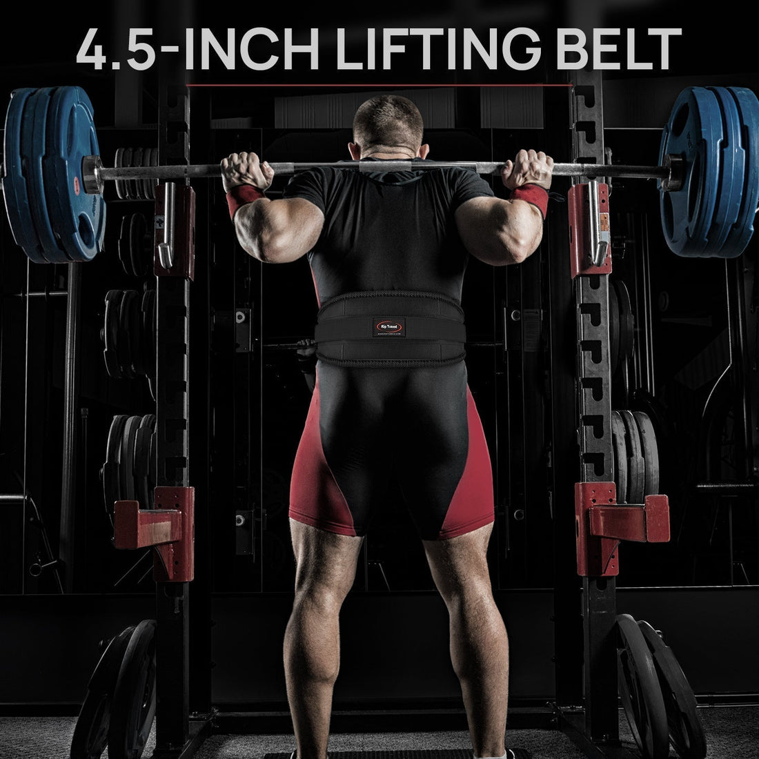 Should Beginners Use a Weightlifting Belt - Rip Toned