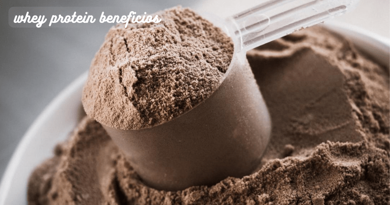 Whey Protein Beneficios - Rip Toned