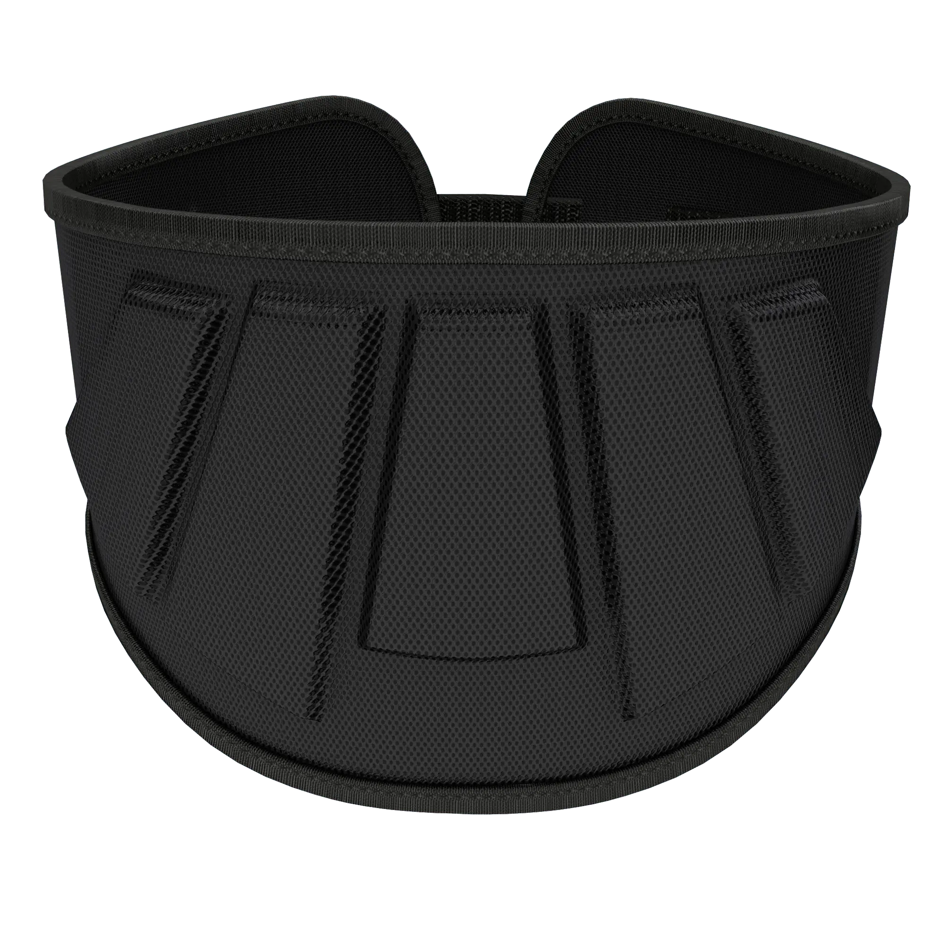 6 Inches Lifting Belt - Rip Toned