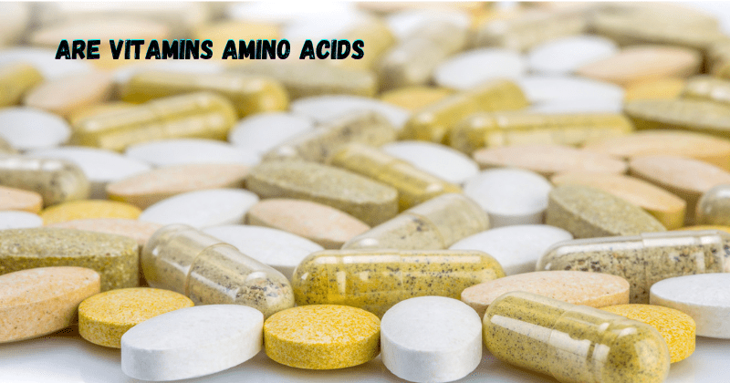 Are Vitamins Amino Acids - Rip Toned