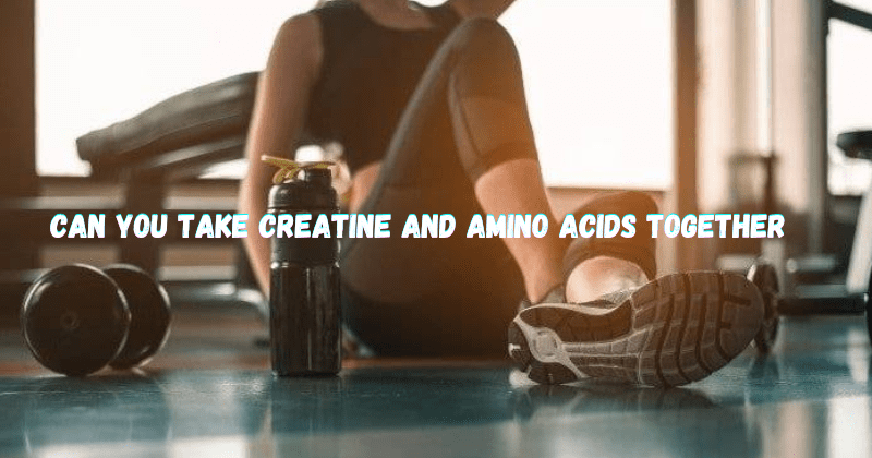 Can You Take Creatine And Amino Acids Together - Rip Toned