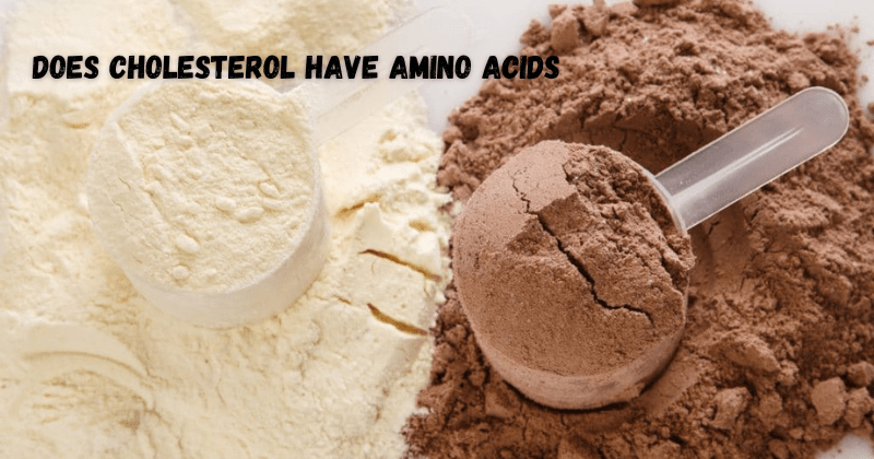 Does Cholesterol Have Amino Acids - Rip Toned