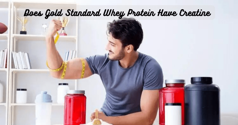 Does Gold Standard Whey Protein Have Creatine - Rip Toned