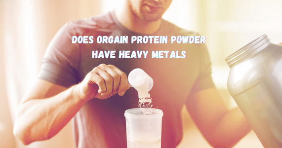Does Orgain Protein Powder Have Heavy Metals