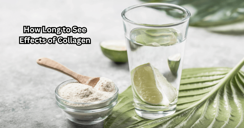 How Long to See Effects of Collagen - Rip Toned