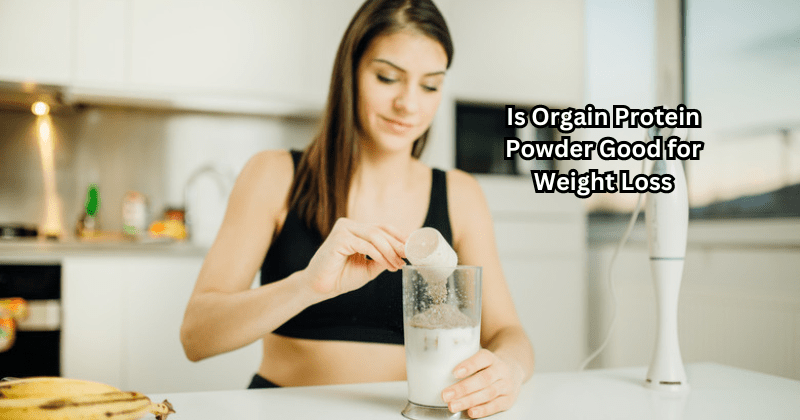 Is Organic Protein Powder Good for Weight Loss - Rip Toned