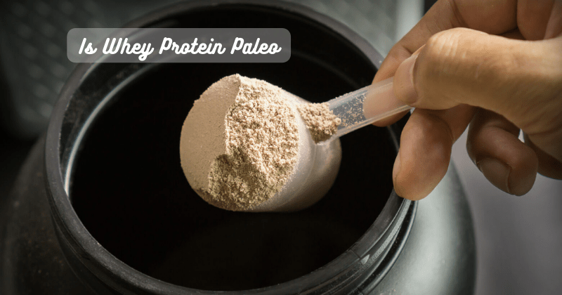 Is Whey Protein Paleo - Rip Toned