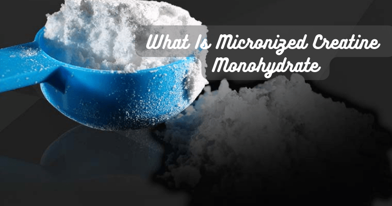 What Is Micronized Creatine Monohydrate - Rip Toned