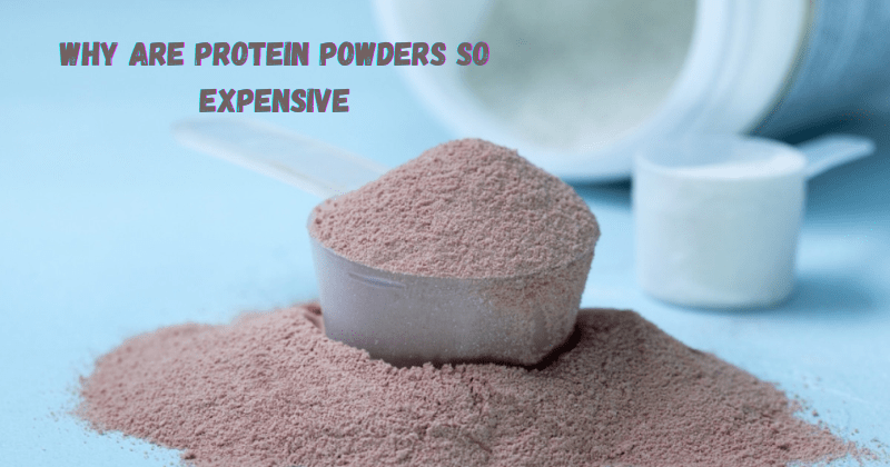 Why Are Protein Powders So Expensive - Rip Toned
