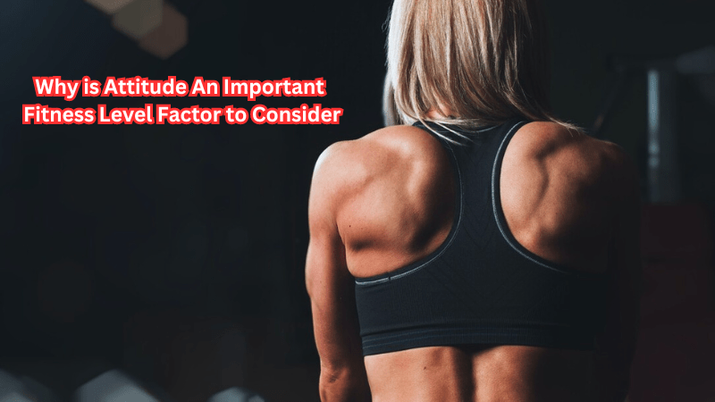 Why is Attitude An Important Fitness Level Factor to Consider - Rip Toned