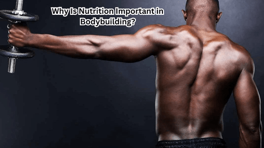 Why Is Nutrition Important in Bodybuilding? Top Reasons Explained - Rip Toned